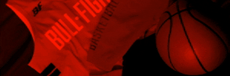 株式会社ブル・ファイト